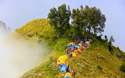 Location Plawangan Sembalun Crater Rim altitude 2639 m of Mount Rinjani