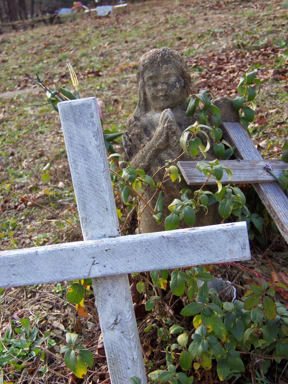 Maple Grove Cemetery Friendship Cemetery, Hot Springs AR
