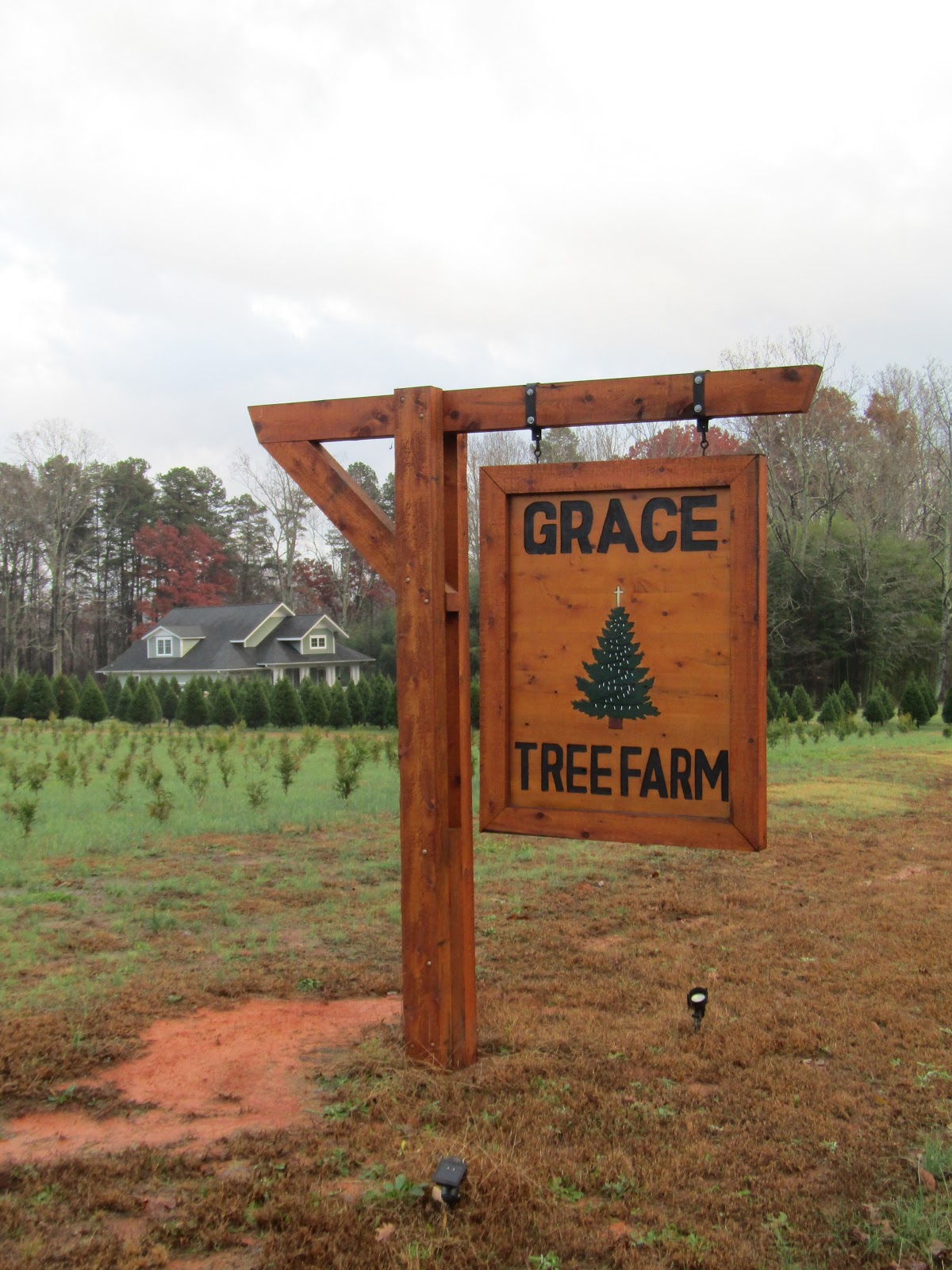 Maple Hill 101 Going Local SeriesGrace Tree Farm