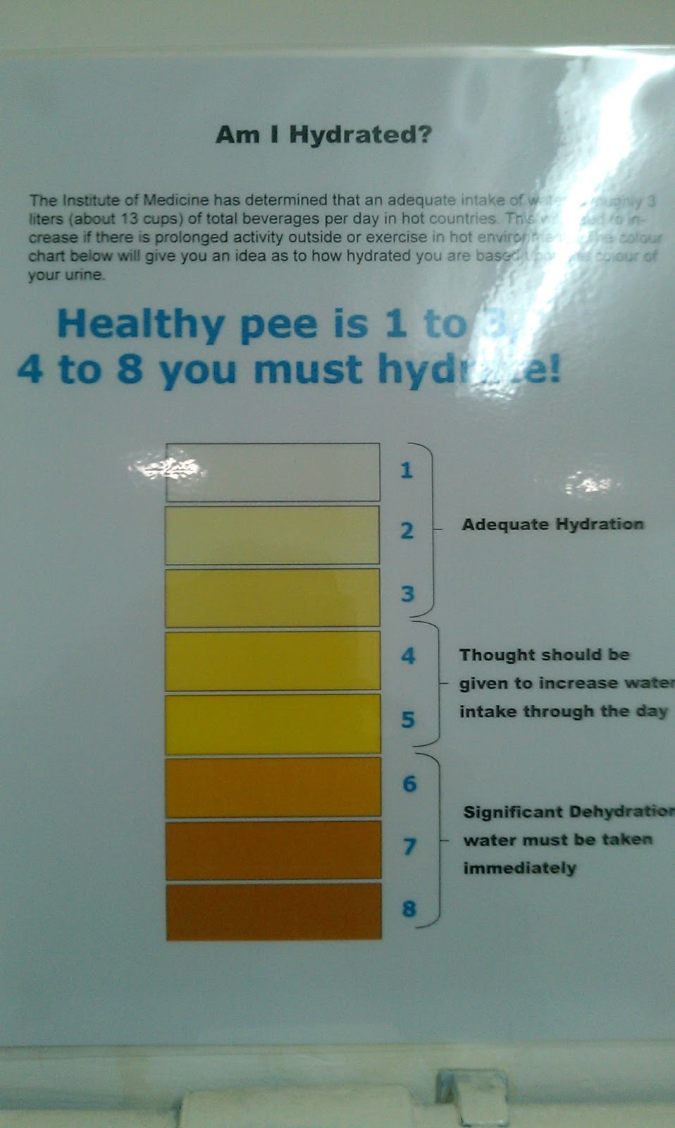 The Plastic Mancunian Am I Hydrated?