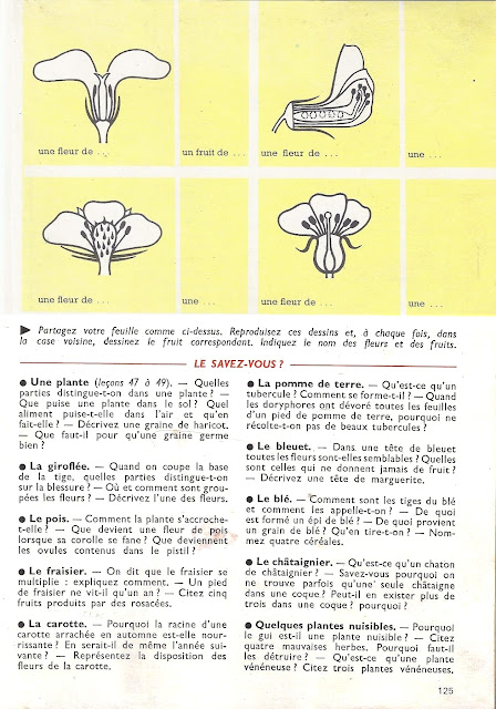 "Pages arrachées", extraits de manuels anciens - Page 7 Orieux%252C%2BEveraere%252C%2Ble%25C3%25A7ons%2Bde%2Bchoses%2Bcm%2B1957_0125