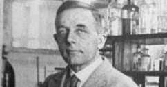 Single warburg