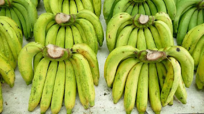 gambar pisang ambon