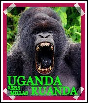 Uganda-Ruanda 1555 millas 2009