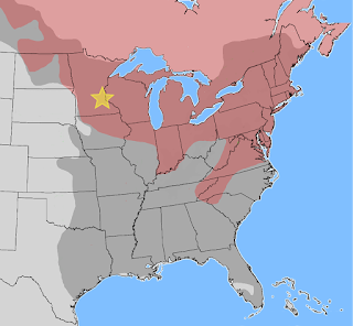 Map of the eastern US, with ranges of grey and red squirrels overlaid. Grey squirrels live in the eastern half of the country. Red squirrels life in the north and north-east part of the country. A star marks Minneapolis, MN.