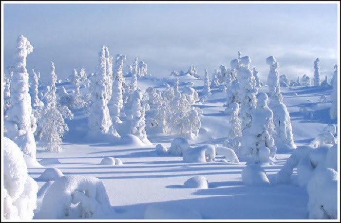 Lapland is the kind of place where you could really be at one with nature (as long as you packed enough warm clothes).