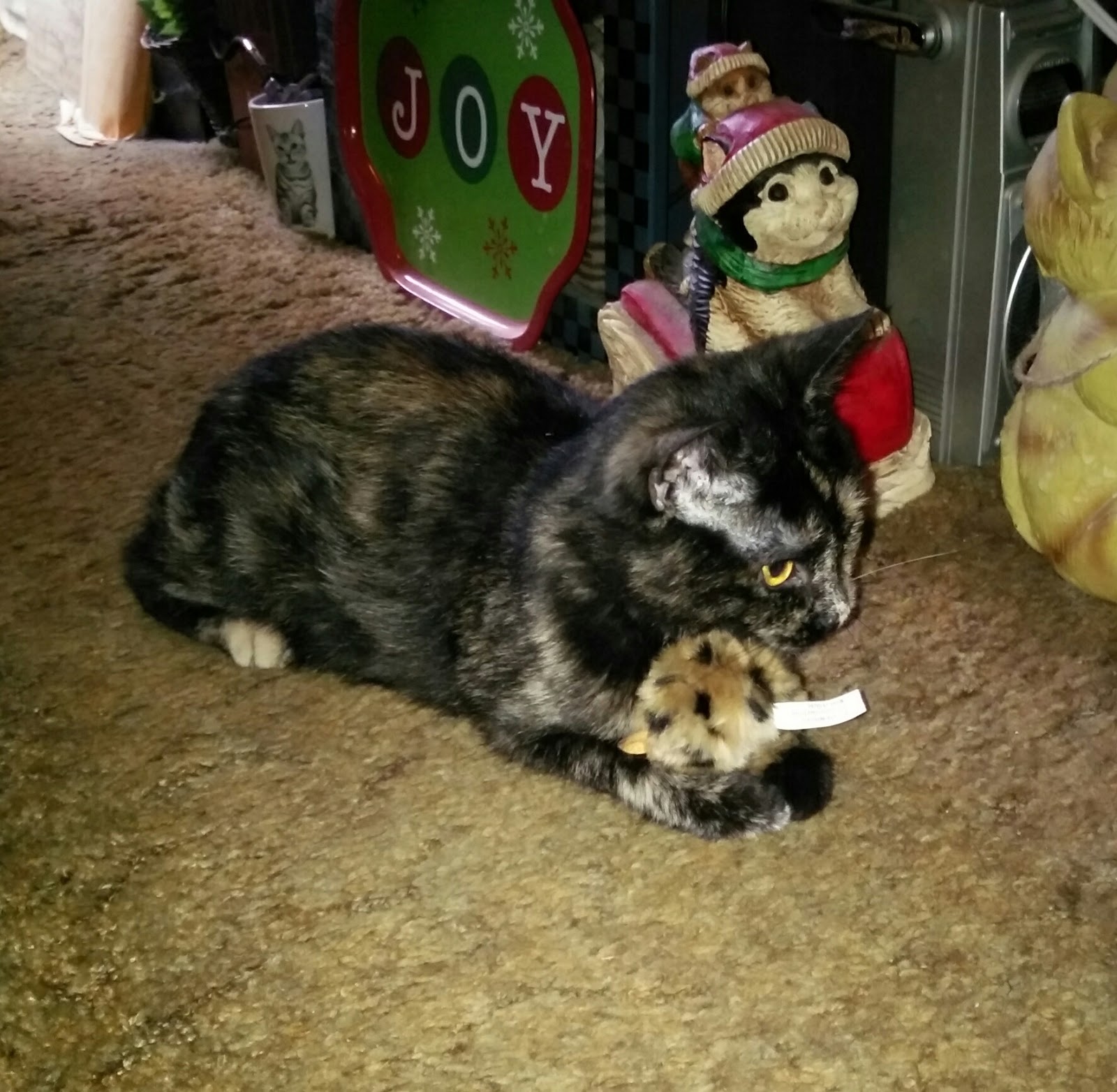 Melissa's Mochas, Mysteries and Meows The Case of the Drowned Rat