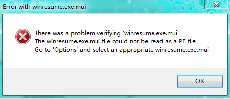 Yms rohini holiday homework picture