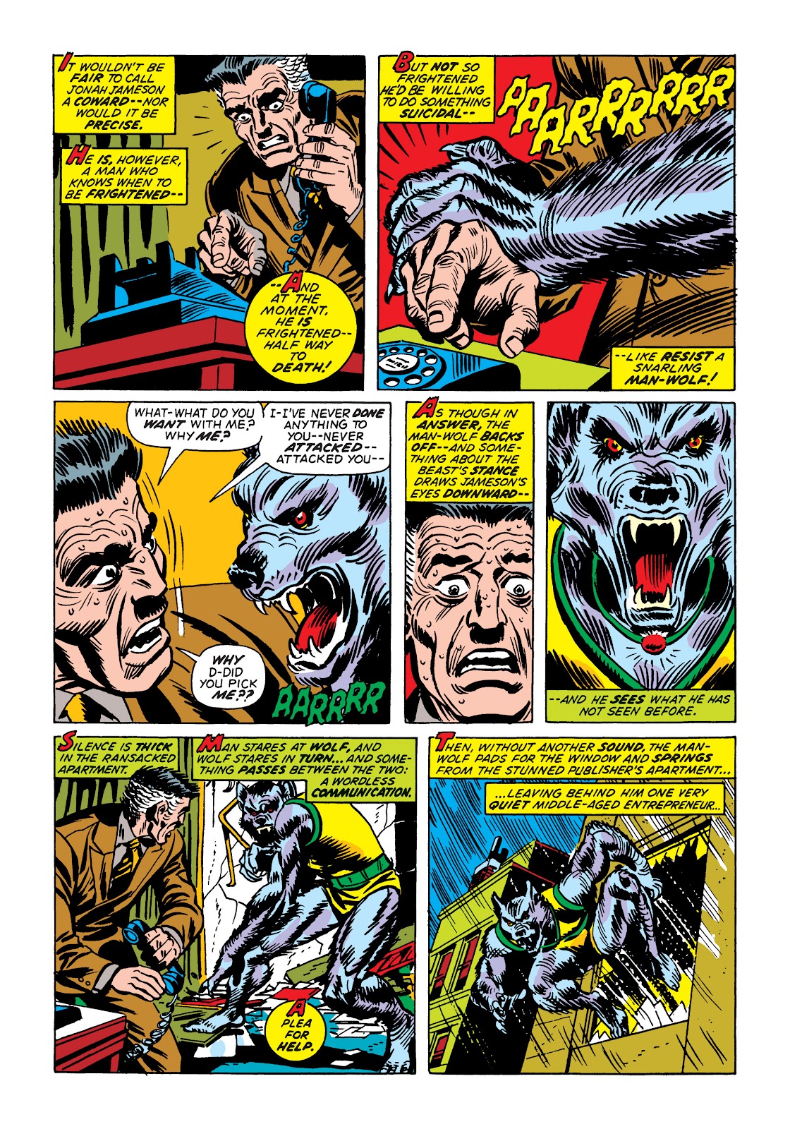 The Amazing Spider-Man (1963) issue 124 - Page 17