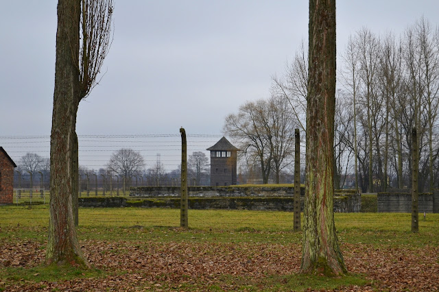 Imagen de Auschwitz-Birkenau