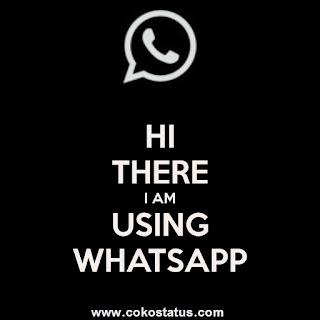 Hi There I Am Using Whatsapp Whatsapp Dp World