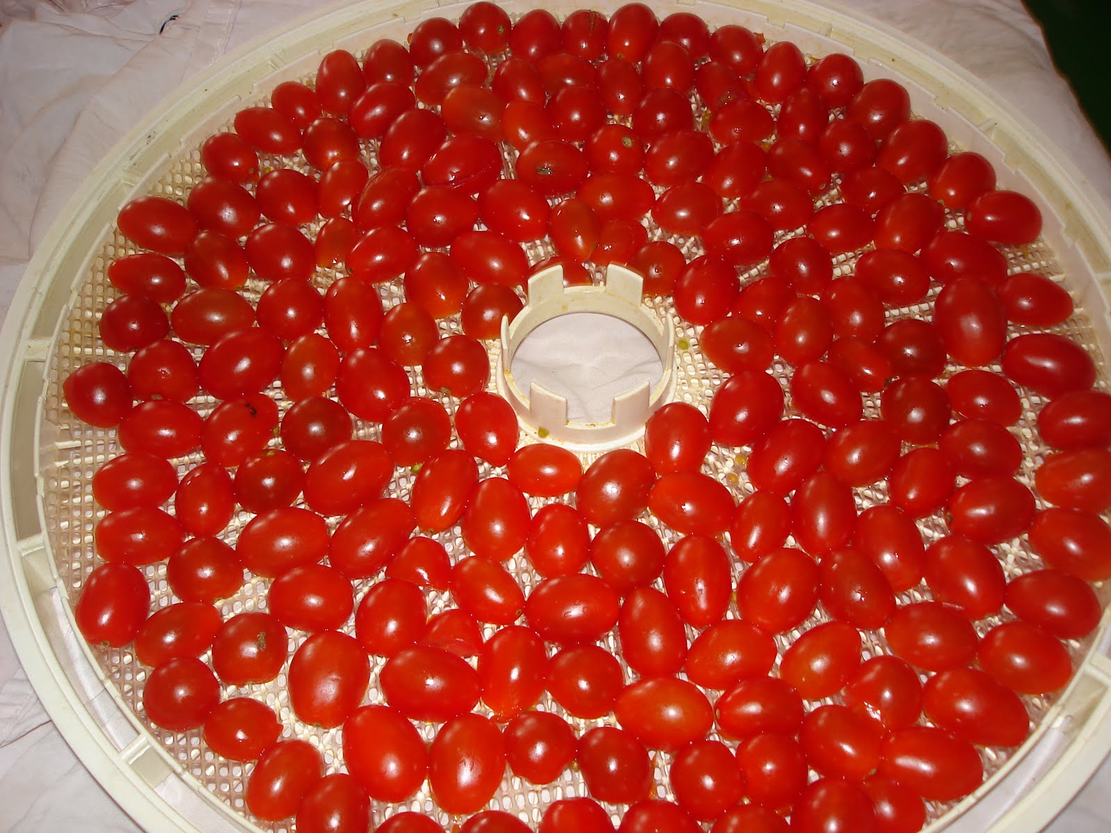 Preserving Food Traditions Dehydrating Cherry Tomatoes and Peppers