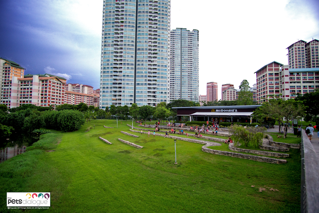 Pet dog event Singapore reviews