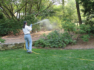 http://www.whiteoakhorticulturalservices.com/p/tick-control.html