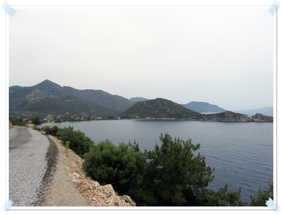 LEYLAK DALI Mayıs 2013