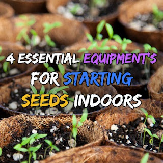Equipment's For Starting Seeds Indoors 4 Essential Equipment's For Starting Seeds Indoors