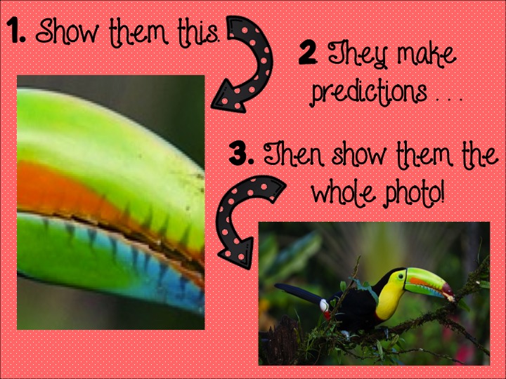 Camping Out In Second Beginning of the Lesson HOOKS!