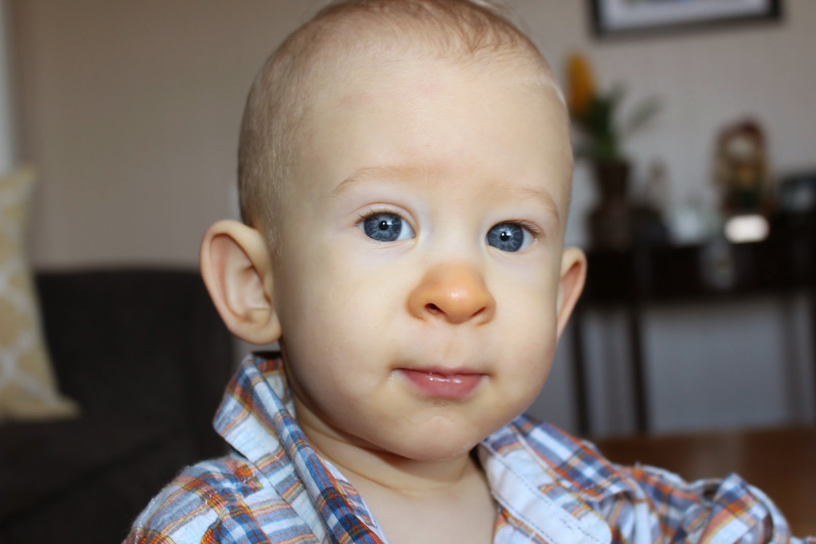 Life is Goode I have a silly baby with an orange nose.