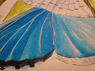 http://possumpatty.blogspot.com/2016/06/a-blue-gossamer-confusion.html