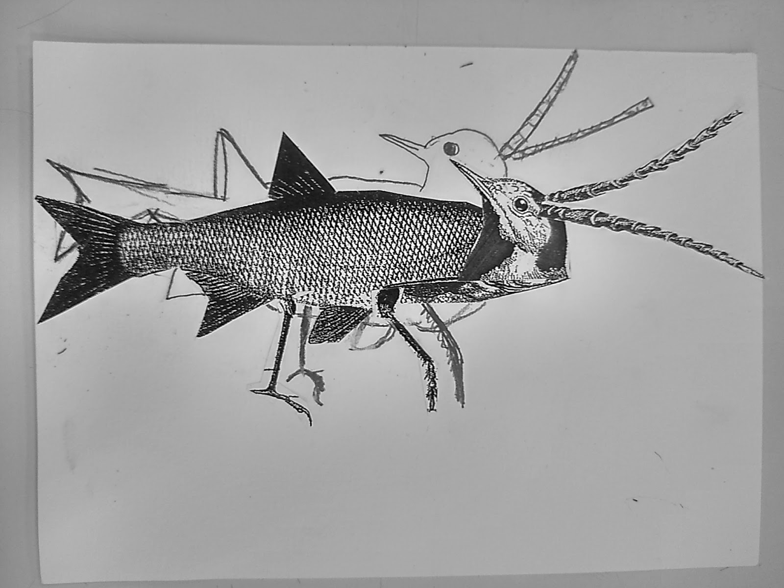 Compositions Animal Hybride Et Invisible 5eme