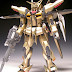 MG 1/100 Strike Gundam + 1/100 "Akatsuki" Oowashi Parts - Custom Build