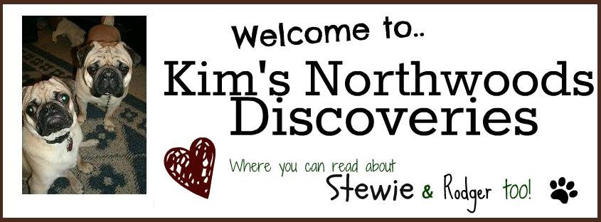 Kim's Northwoods Discoveries