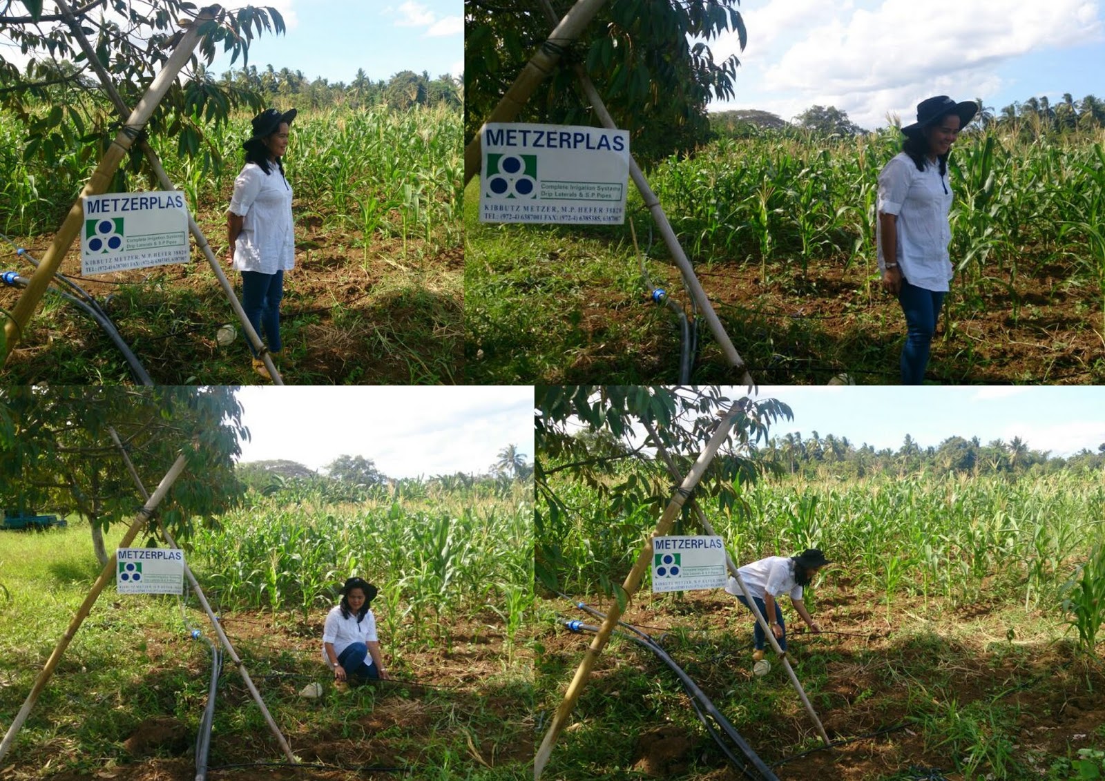 LCDR Irrigation & Water Systems Drip Irrigation on Corn