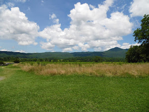 A beautiful view in Cades Cove