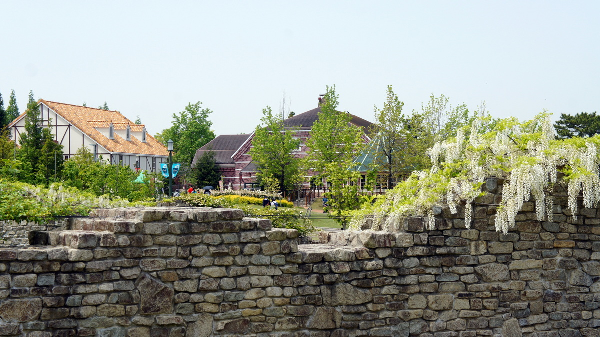 愛知安城 安城產業文化公園denpark 丹麥公園 百花爭艷的花園 愛日研