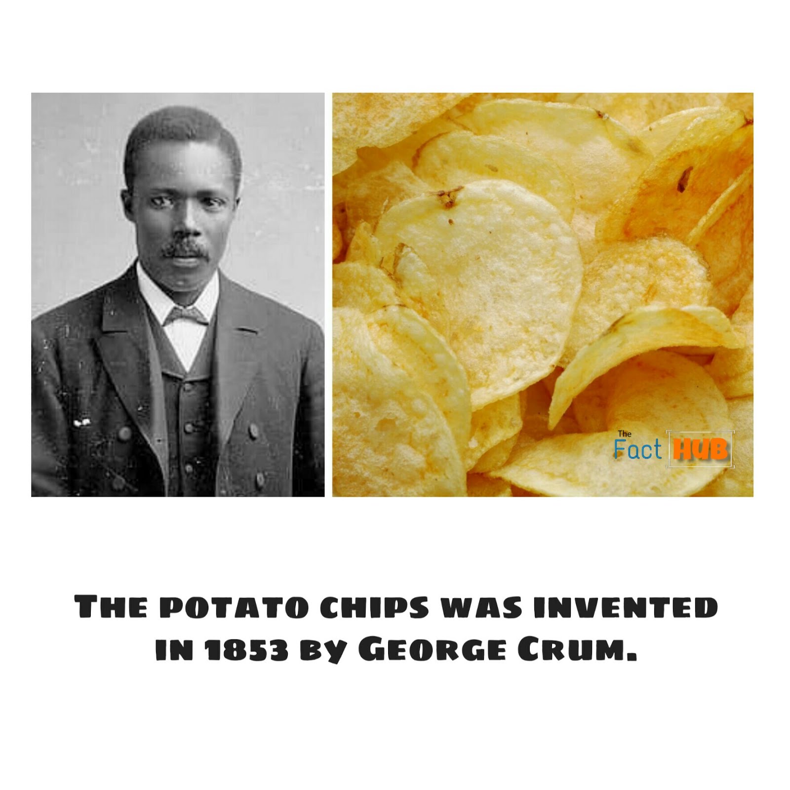 Dailylife Facts 10 Interesting Facts About Life The Fact Hub