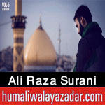 http://www.humaliwalayazadar.com/2015/04/ali-raza-surani-nohay-2013-to-2016.html