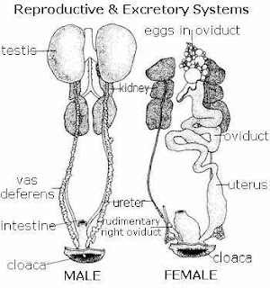 Hello, World!: Improper Handling