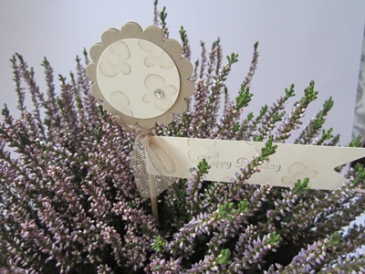 Wünsche Zum Doppelten Geburtstag, W195188nsche... | glück zitate weisheiten