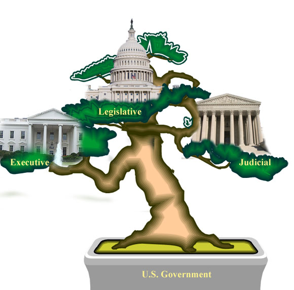 I am convinced that what the three (count em three) branches of government ...