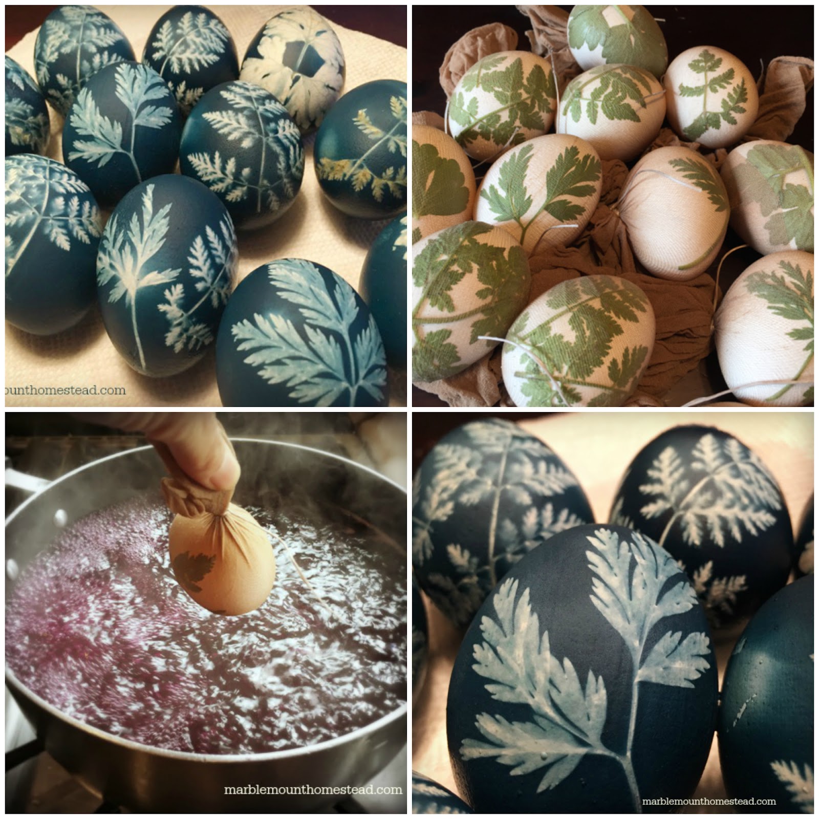 Marblemount Homestead: Last minute Easter Eggs that are stunning and  colored naturally - how to dye eggs with red cabbage and a leaf pattern