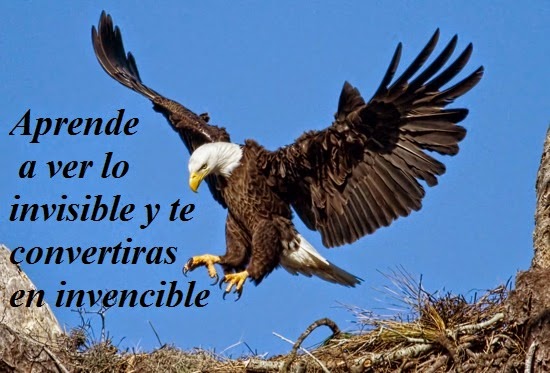 Imagenes Lindas Para Compartir Fb: Aguilas Con Frases De Superacion Muy  Chidas
