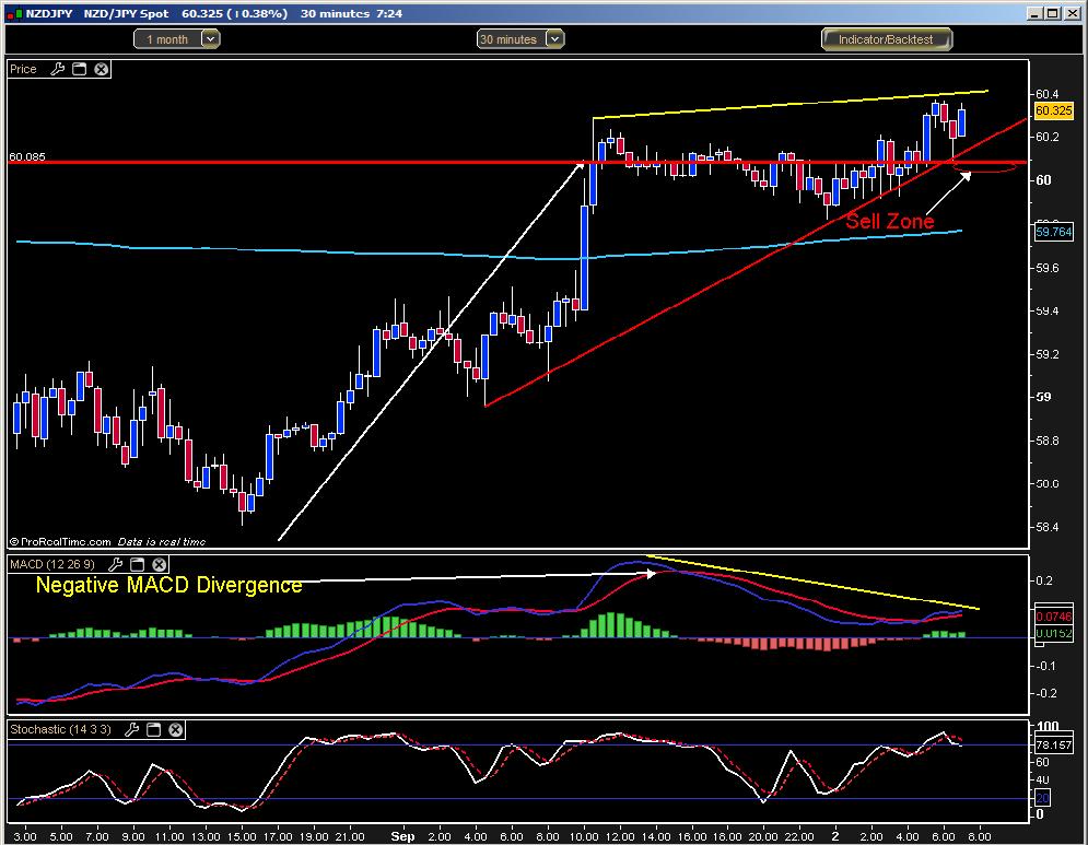Forex only long