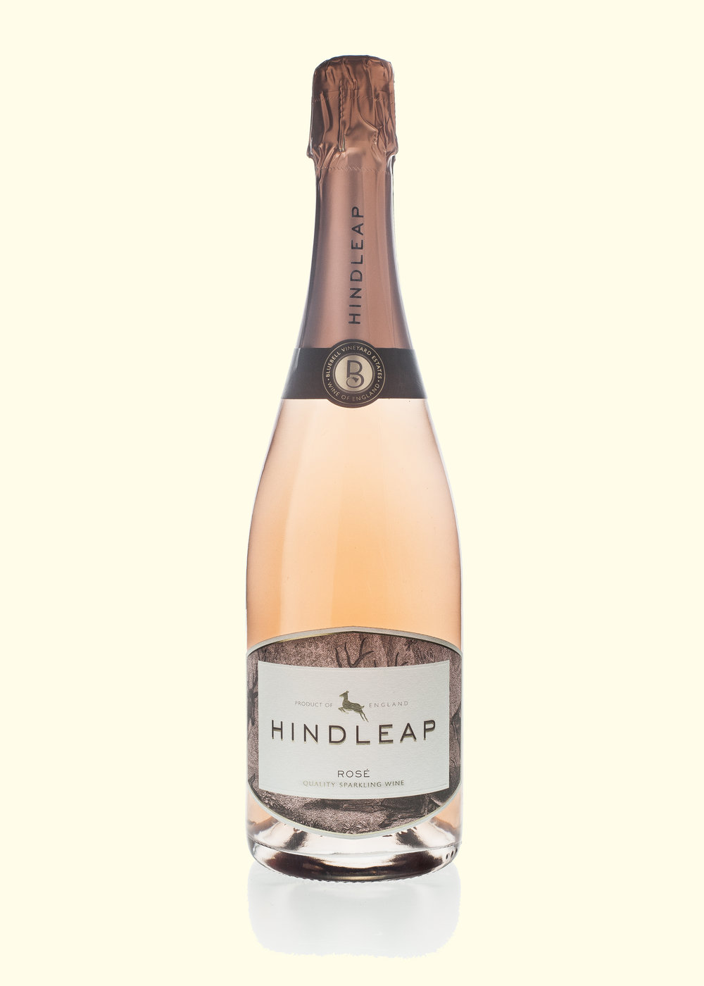 Bluebell Vineyard tour and tasting Hindleap English sparkling wine