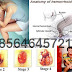 Ada Benjolan Wasir di Anus Wanita thumbnail