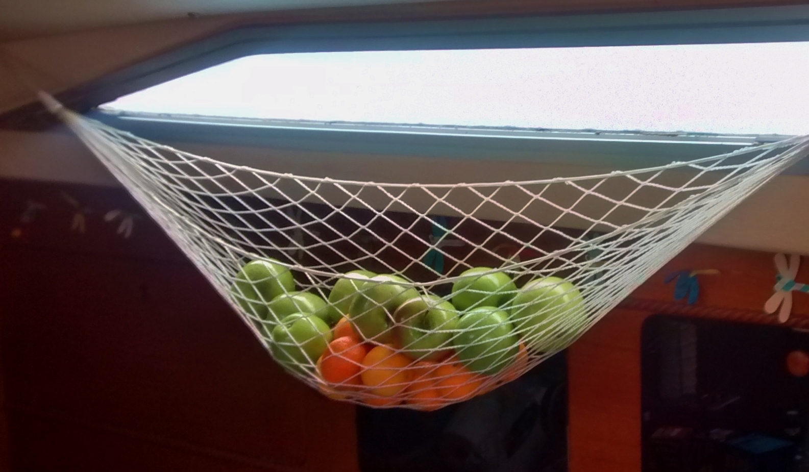 The Cynical Sailor His Salty Sidekick Life Lately At Indiantown