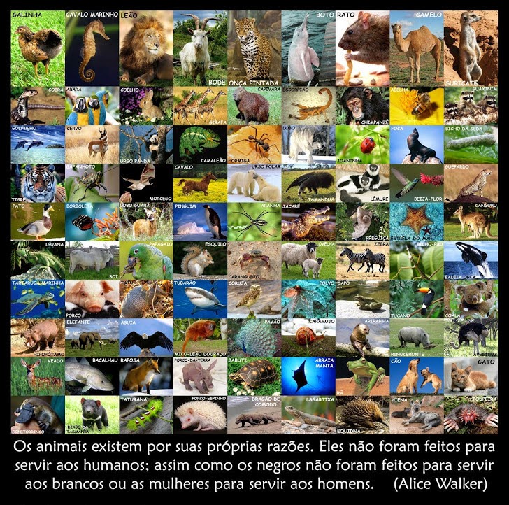 4 de Outubro - Dia Mundial dos Animais