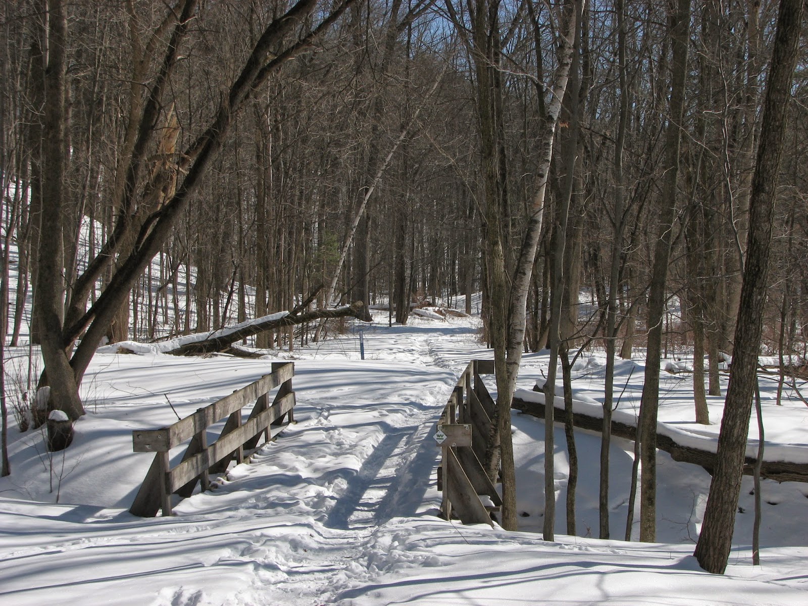 Woodside Natural Area, nature trailsWVPD. (Photos). In search of the
