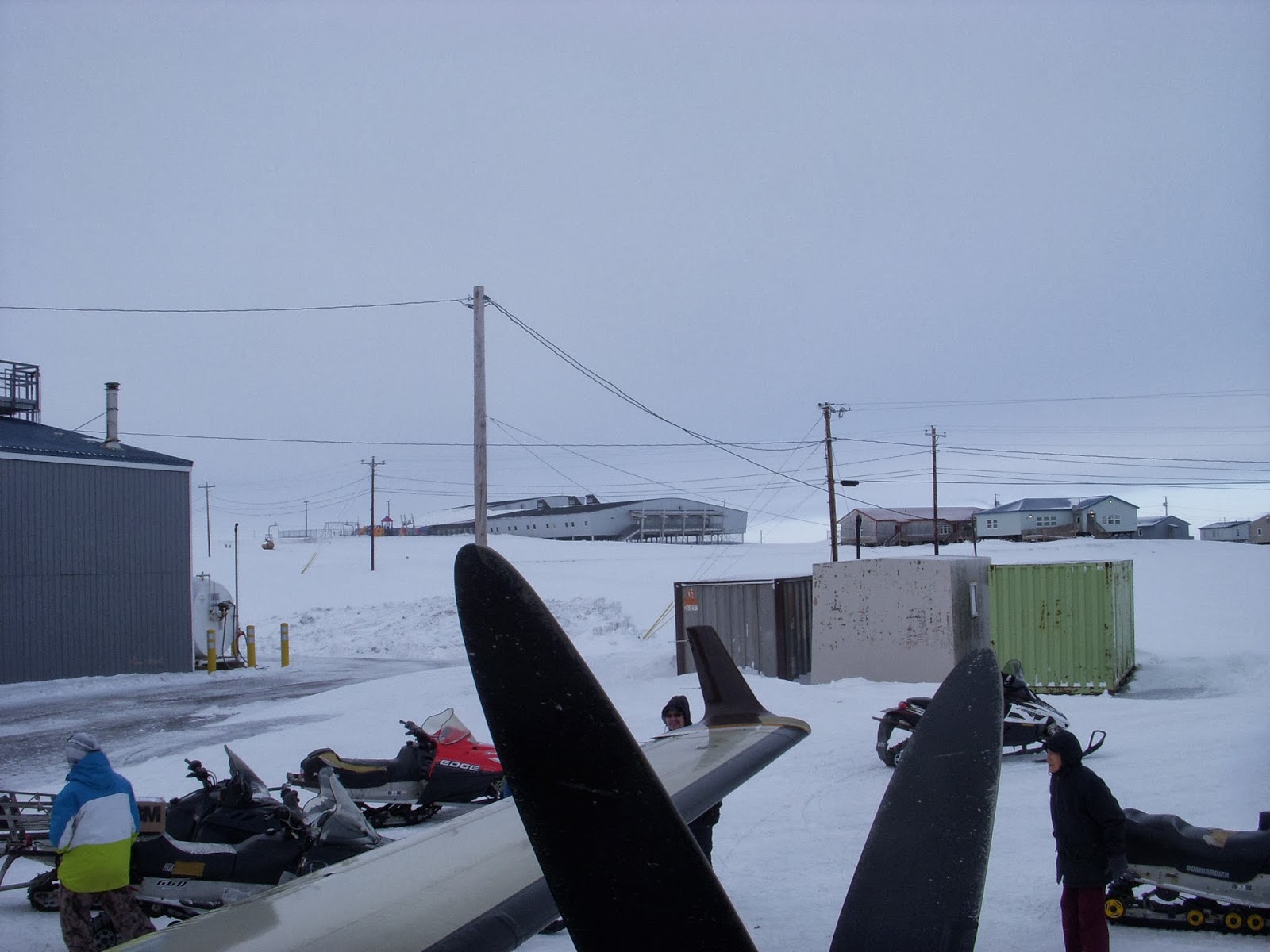 Adventures in an Alaskan Village Savoonga, Gambell and random thoughts