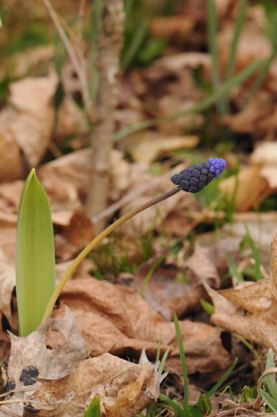 teini sex vedios Download