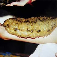 Cara Alami Menyembuhkan Rhinitis, Terbukti Ampuh Mengobati Radang Selaput Hidung / Infeksi Hidung Tanpa Efeksamping Pada Anak Dan Dewasa Cara Alami Menyembuhkan Rhinitis, Terbukti Ampuh Mengobati Radang Selaput Hidung / Infeksi Hidung Tanpa Efeksamping Pada Anak Dan Dewasa