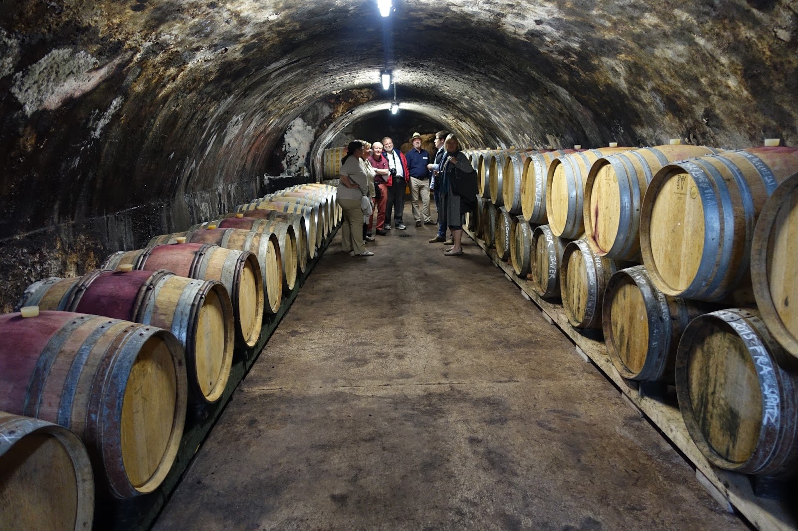 schillerwine Cellar Tour and Tasting at Weingut August Kesseler in