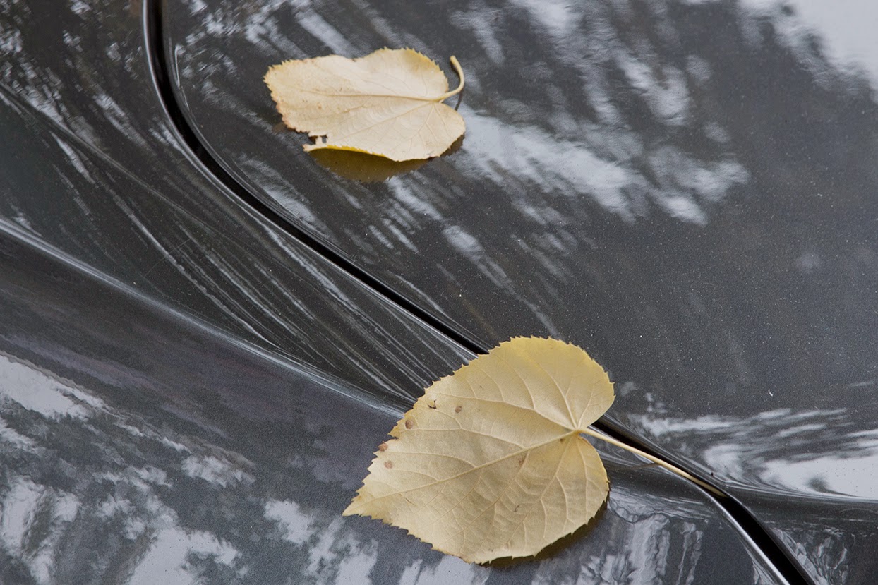 moment: two leafs on a grey car