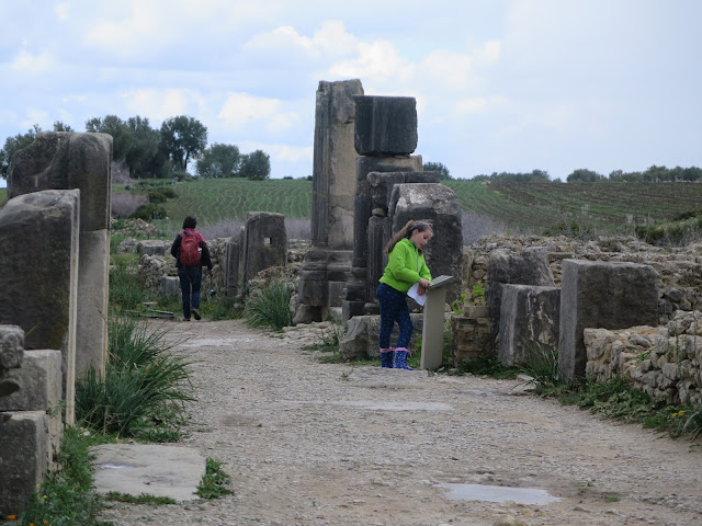 Carteles indicativos de Volubilis