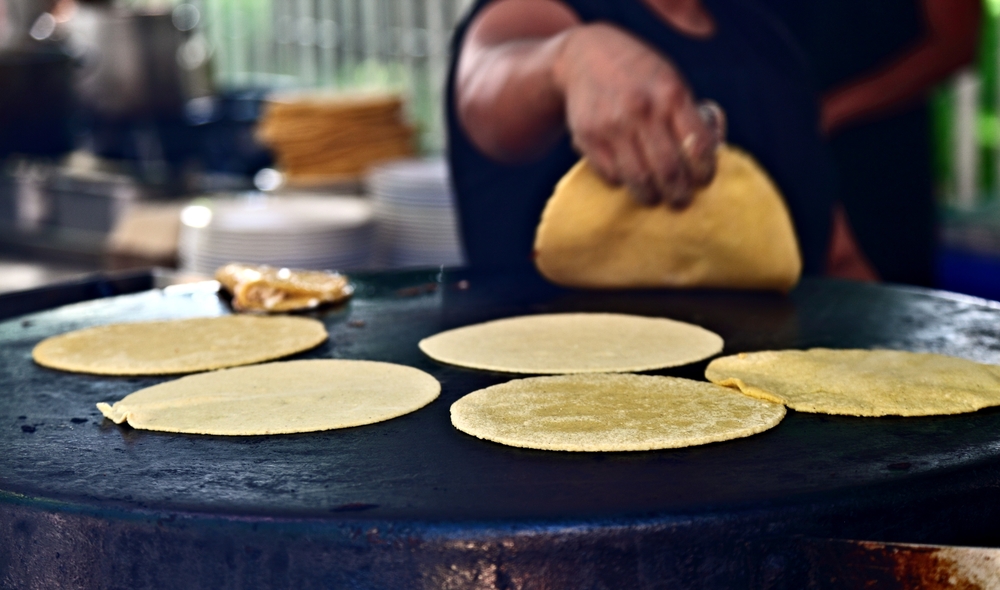 COCINA MEXICANA: Gastronomía Mexicana