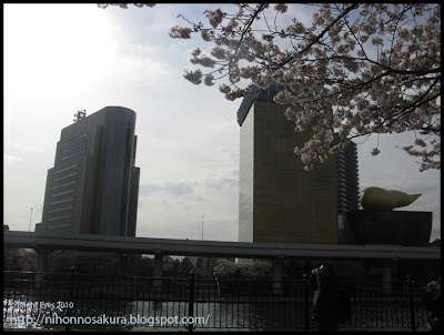 Día 6: Tokyo - Ueno y Odaiba.